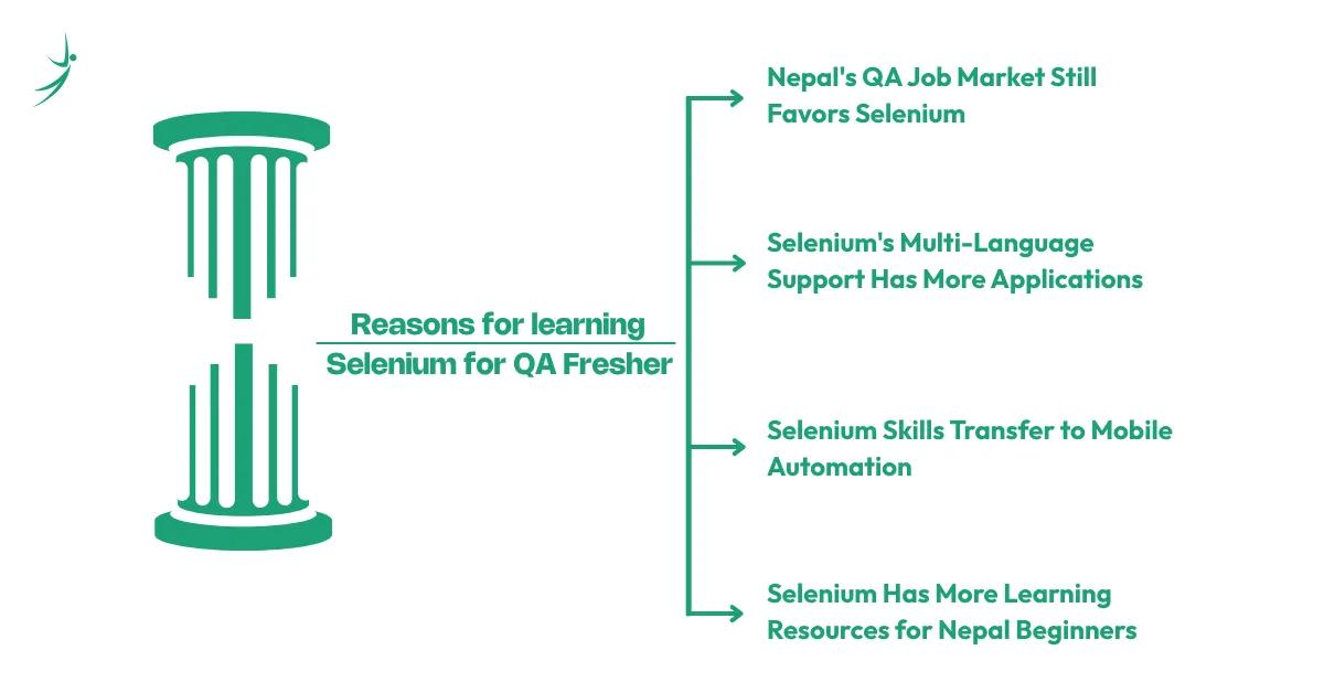 Reasons to choose Selenium for QA Fresher