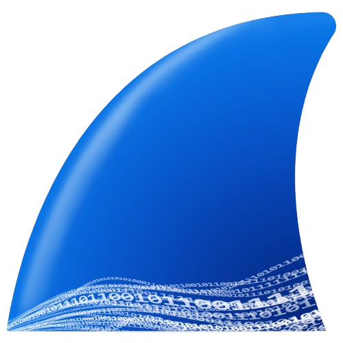 Wireshark_icon_new-removebg-preview
