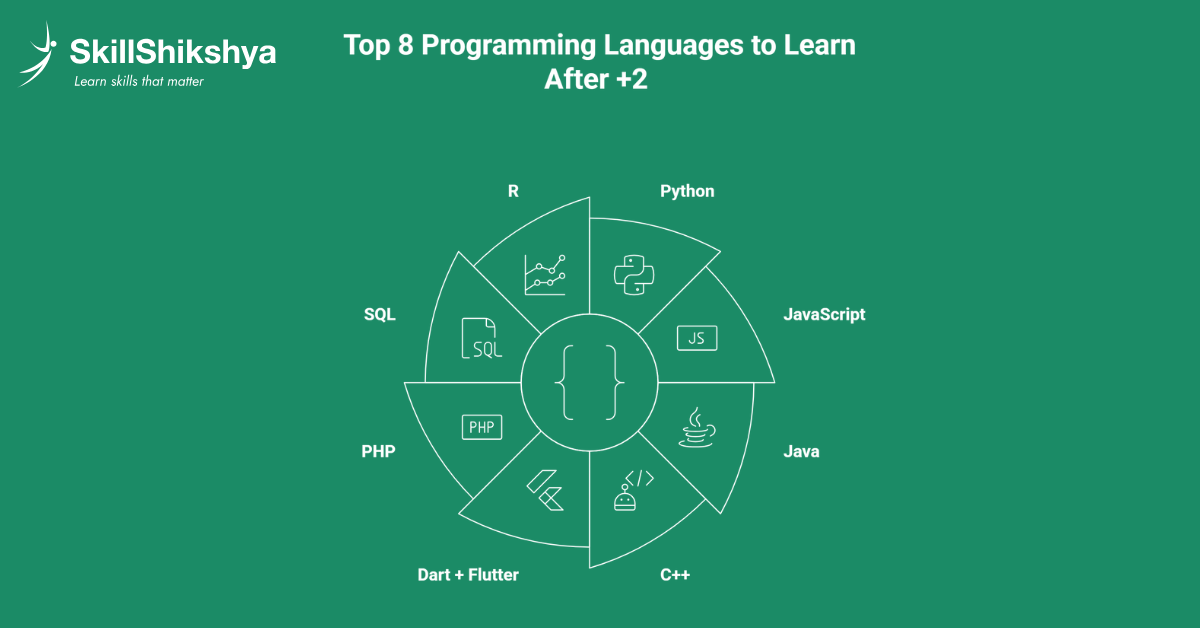 Top Eight Programming Languages to Learn After +2
